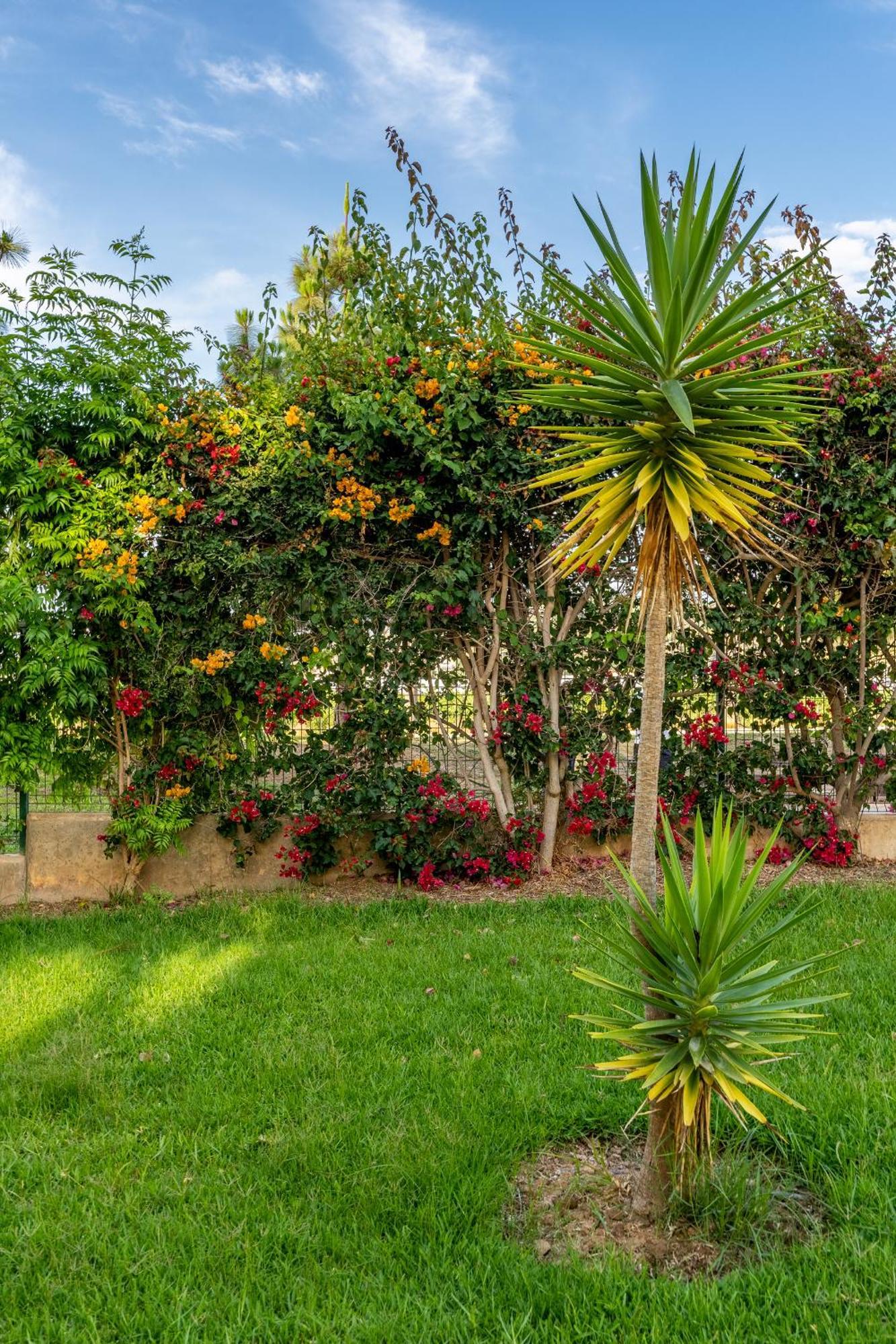 Bonito Apartamento En La Playa Con Piscina Torrenueva  Buitenkant foto